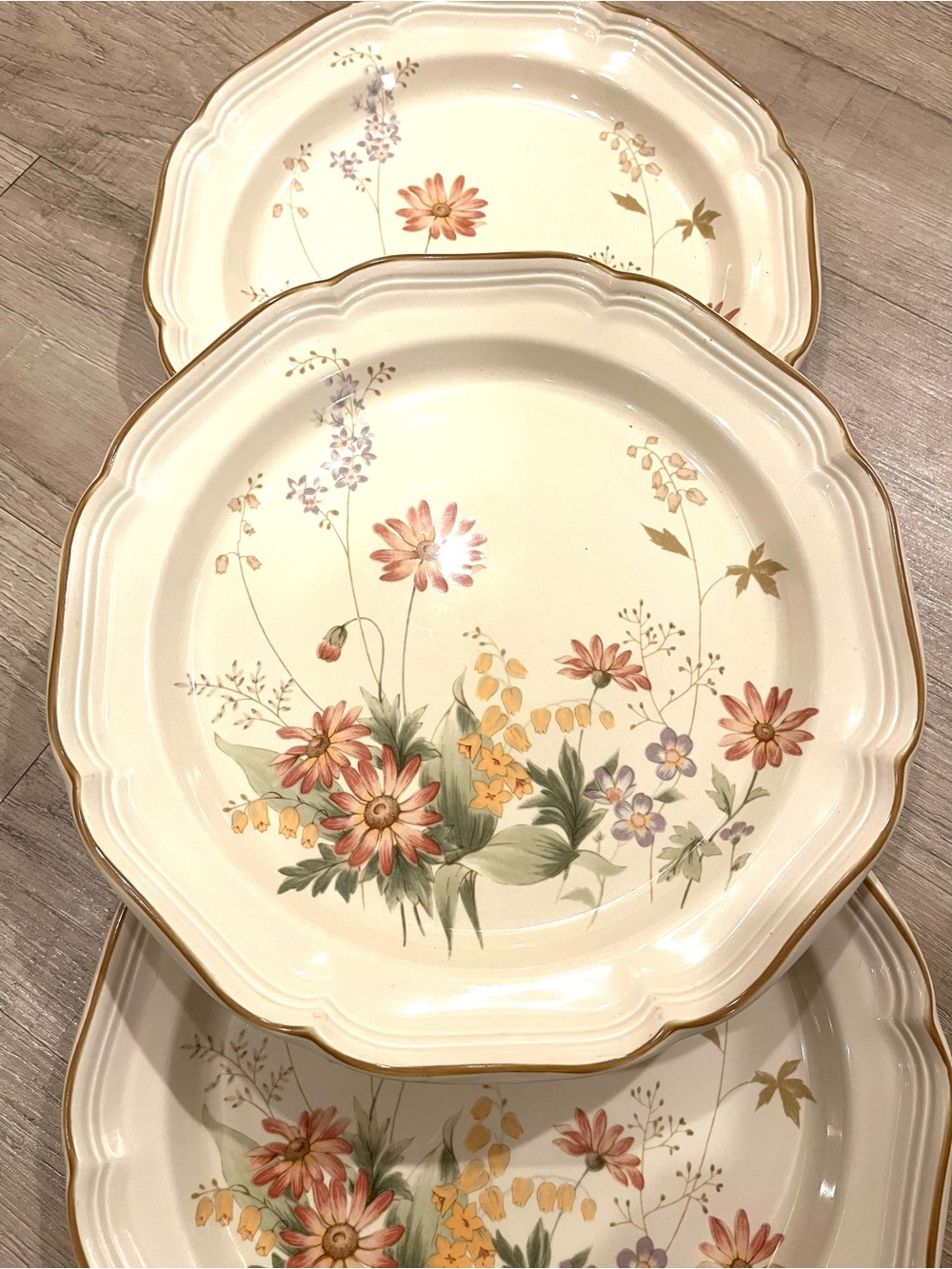 Mikasa Heritage “Samantha” 11” Dinner Plates Floral Wildflower Pattern Set of 3